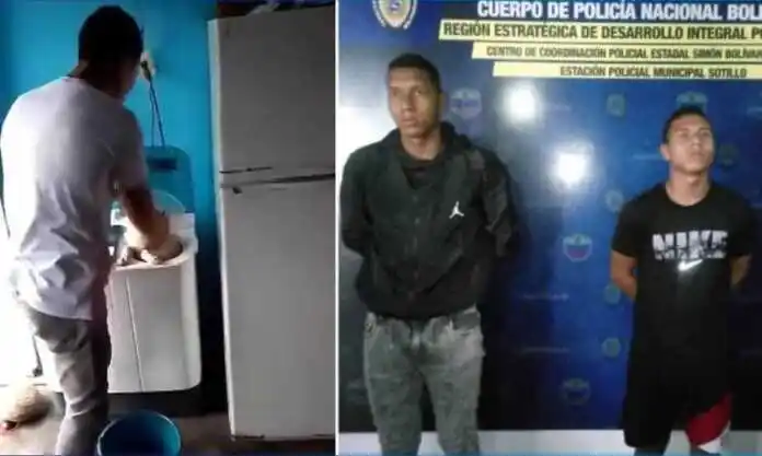 Presos dos sujetos por maltrato animal: METIERON UN PERRITO EN UNA LAVADORA