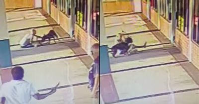 Una mujer de 70 años se enfrentó a un pitbull para salvar a su perro: ¡lo mordió en la nuca!