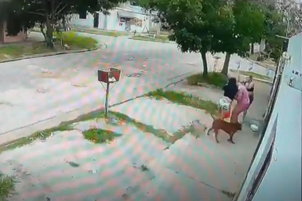 Brutal ataque