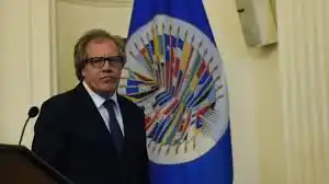 En Venezuela hay 329 presos políticos, certifica la OEA