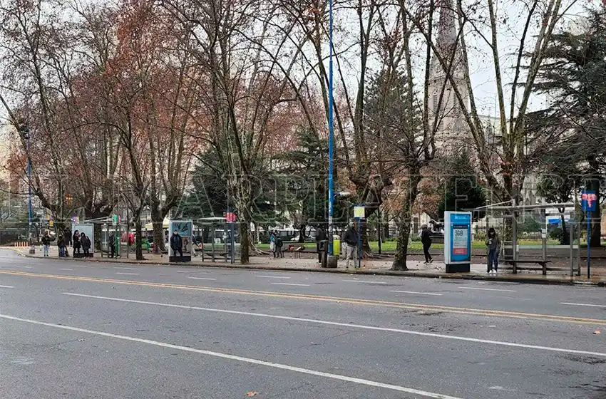 El paro de colectivos impacta en Mar del Plata y en todo el interior del país