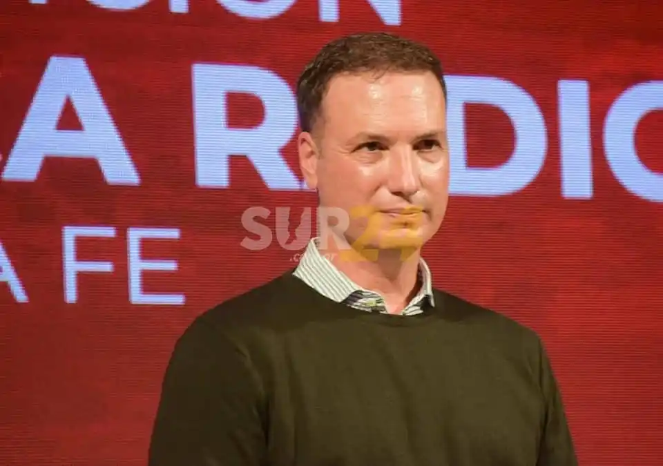 Enrico asumió en la Convención y prometió una UCR moderna