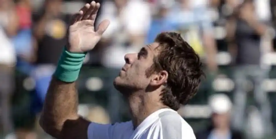 Del Potro se quedó con el Abierto de Washington