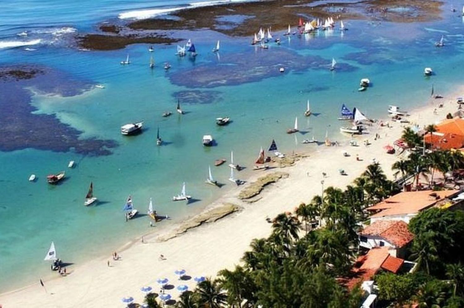 Alerta a turistas por dos ataques de tiburones en una playa de Brasil