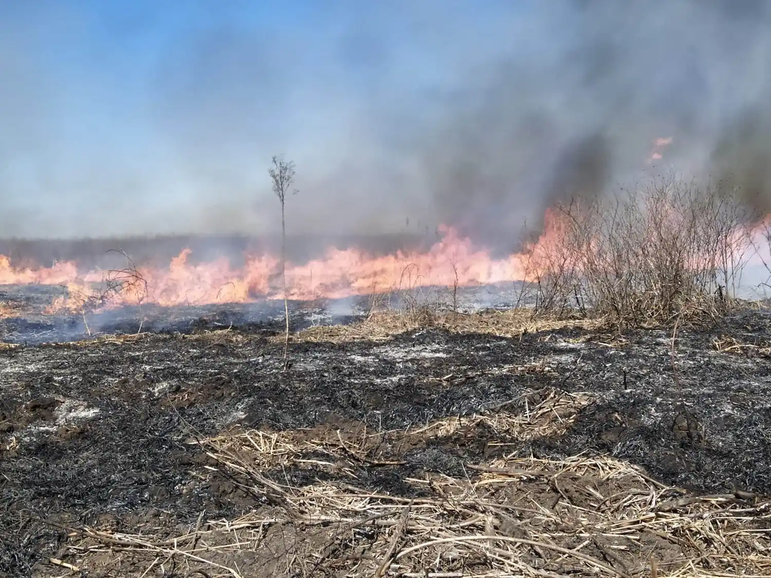 ¿Qué tiene el aire que respiramos?
