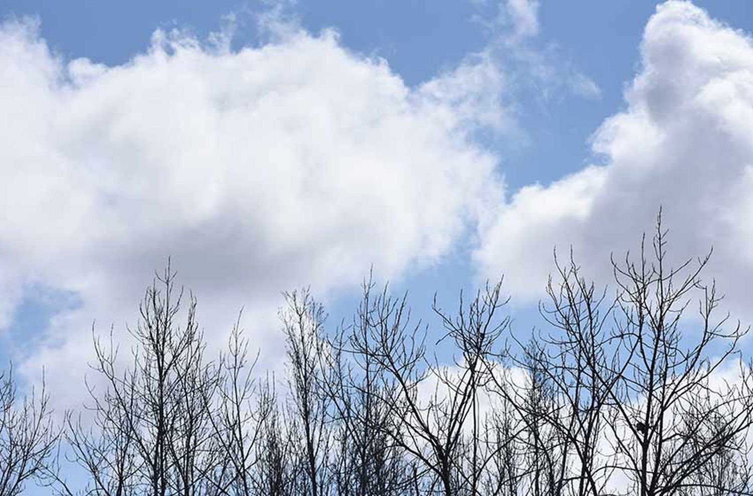 Tras la tormenta, llega un viernes nublado con algo de alivio en Rosario