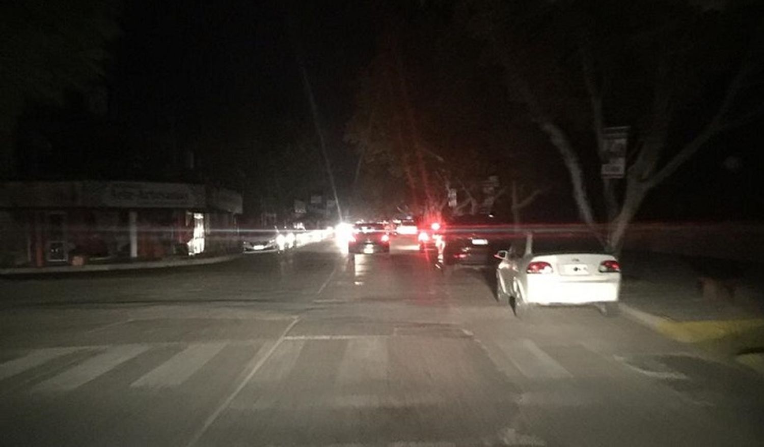 Por una paloma, una amplia zona de la ciudad quedó sin luz