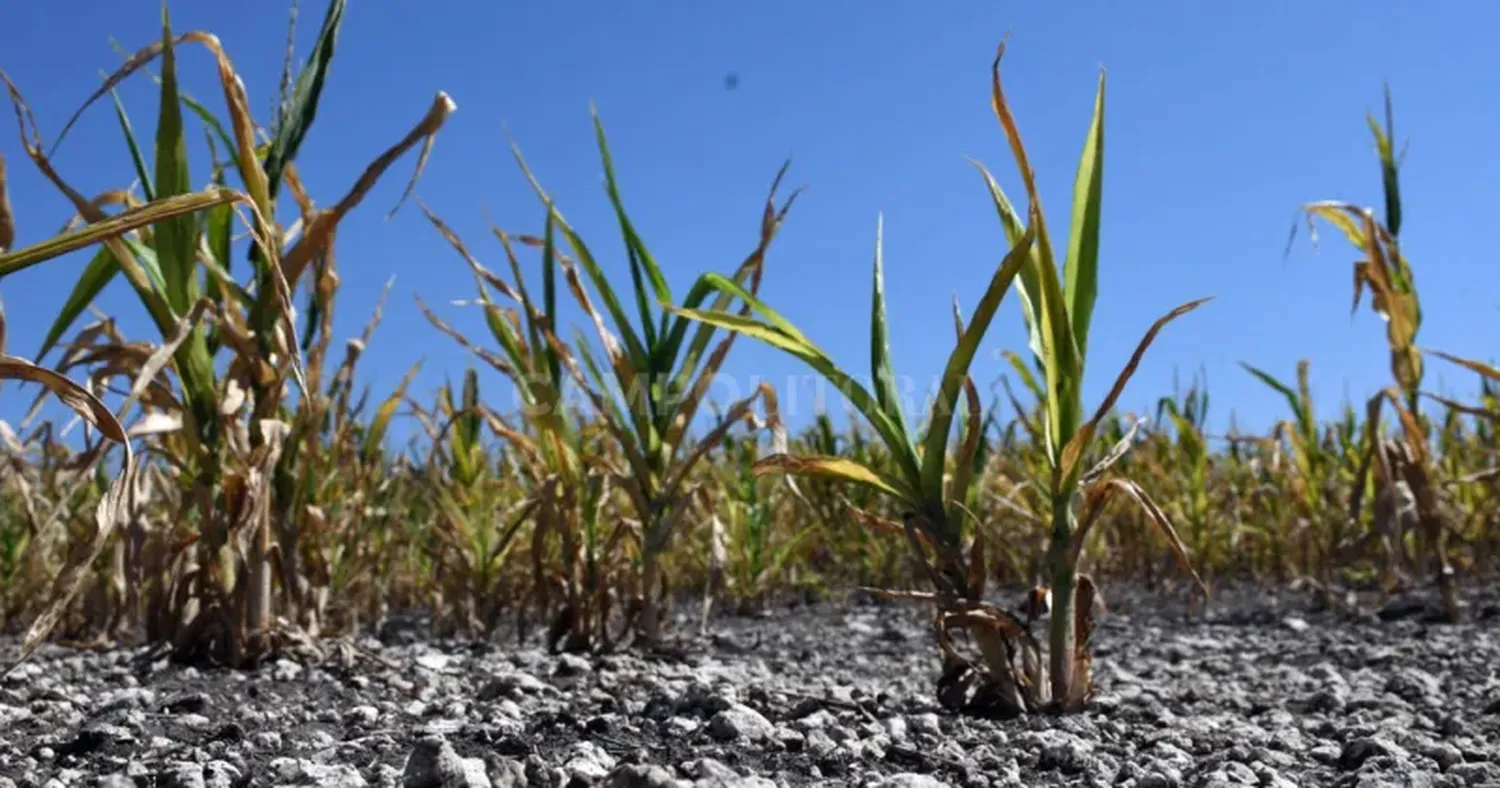 El desánimo impactará en las inversiones del agro