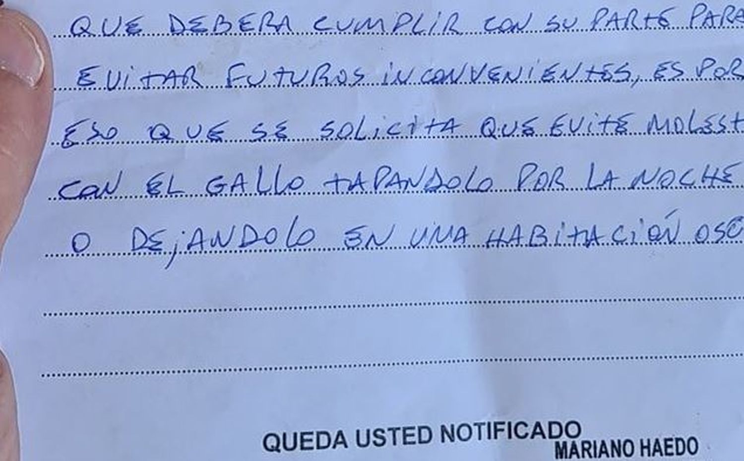 Insólito: En Pringles un vecino fue multado con casi 40 mil pesos por los ruidos de su gallo