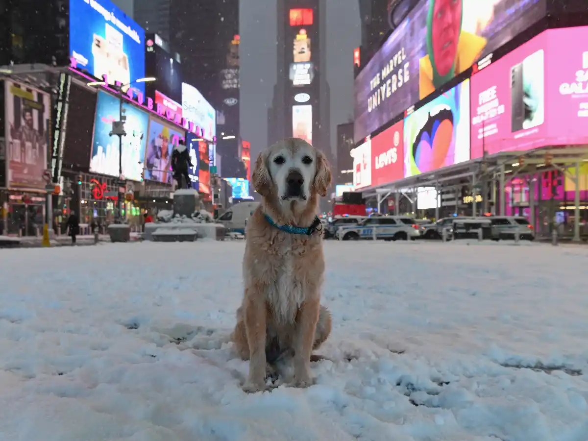 Continúa el alerta por tormentas y nevadas en el noreste de Estados Unidos