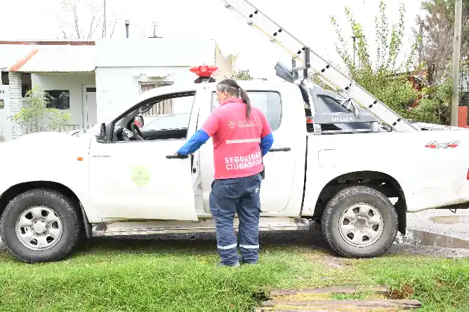 La tormenta provocó caídas de postes, ramas y cables en distintos sectores de la ciudad