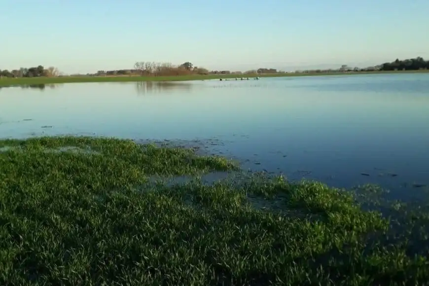 Perspectiva agroclimática