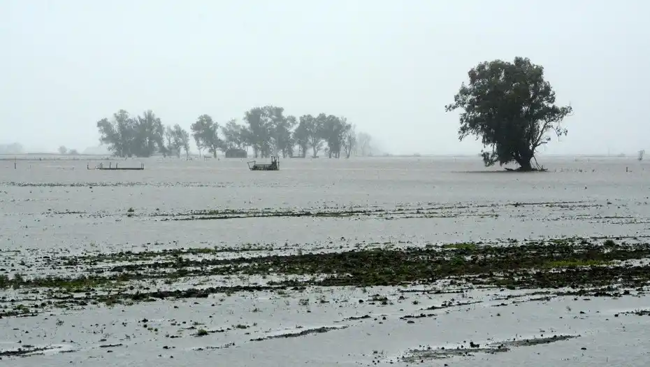 Inundaciones tras el "Irma" bonaerense: Estiman pérdidas por U$S 1500 millones