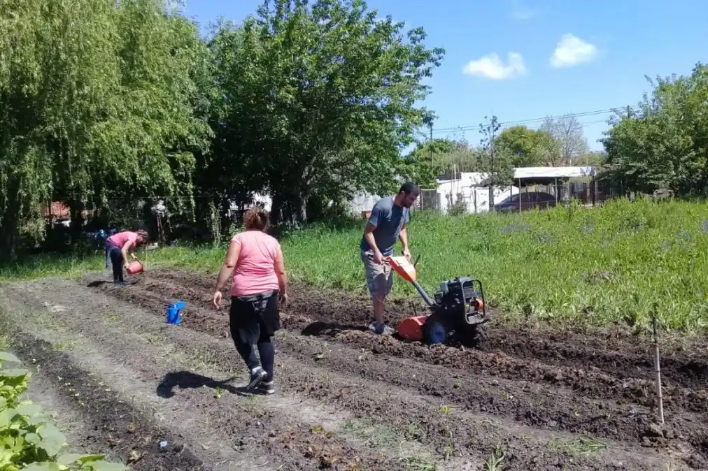 Vecinos trabajando la tierra.