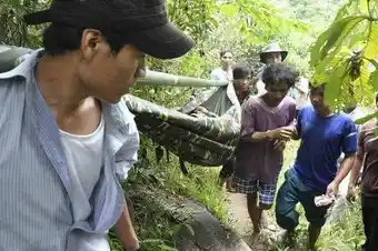 Los "tarzanes" de Vietnam pidieron volver a la selva