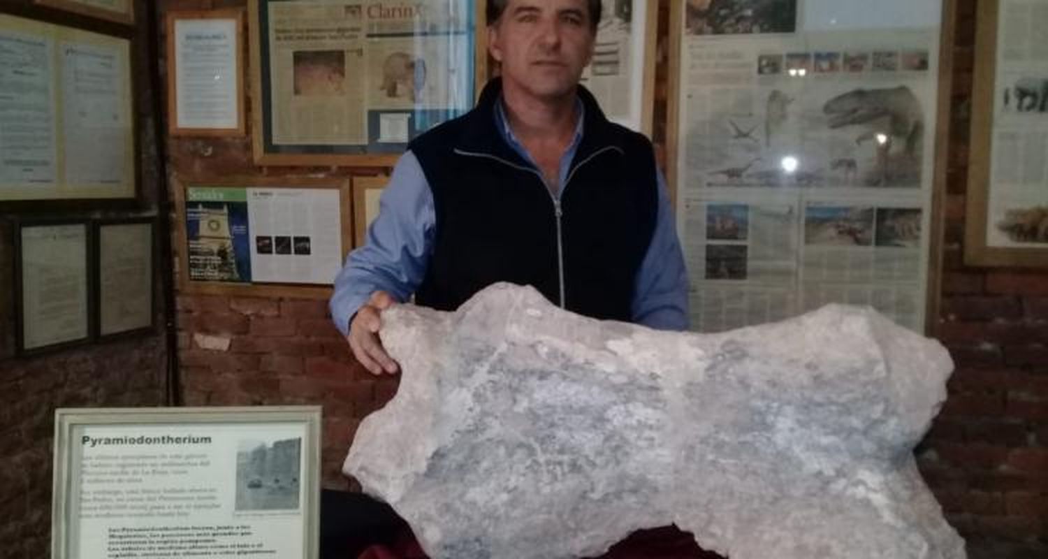 Un nuevo hallazgo paleontológico
