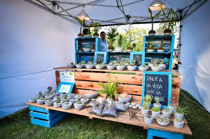 Charla informativa sobre servicios municipales para iniciativas autogestivas de pequeña escala