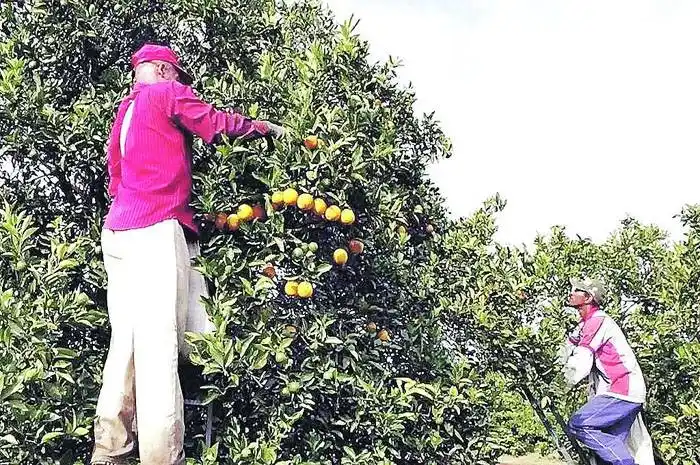 Aumento no remunerativo de $5000 a  partir de mayo 