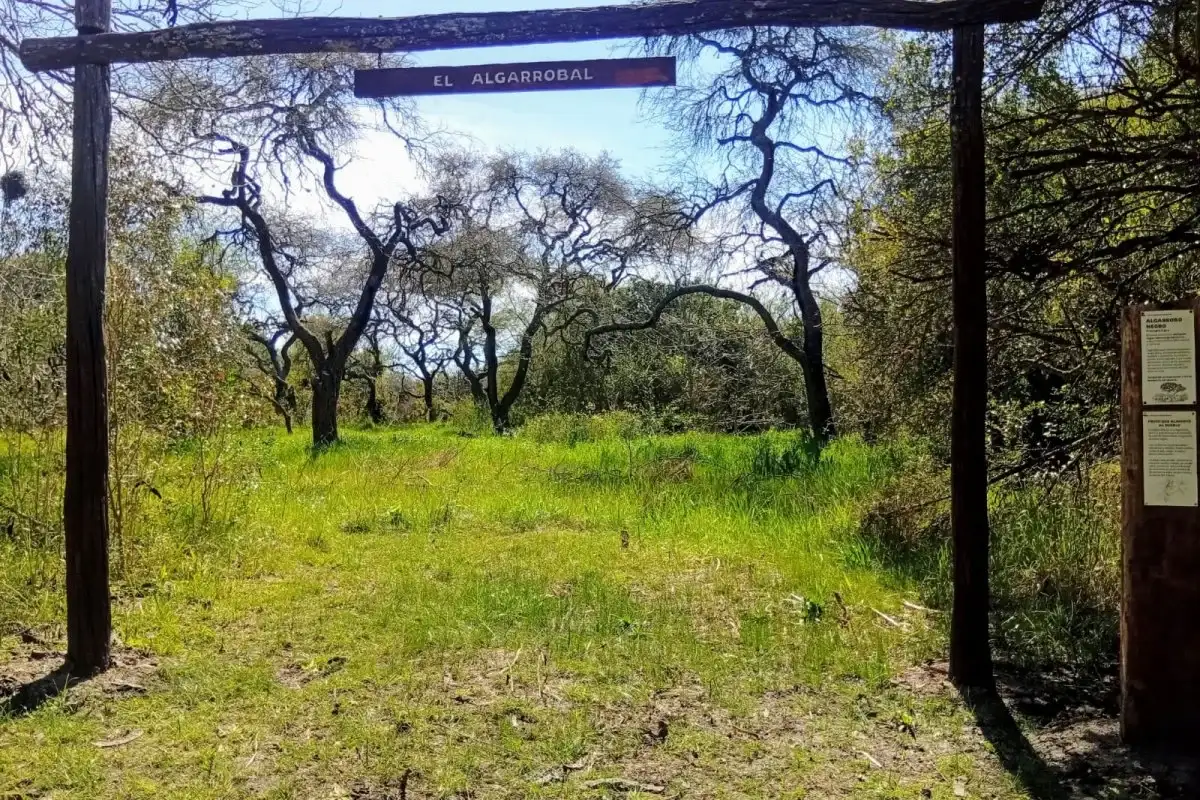 Crearon el Mirador del Algarrobal en el Parque Unzué, un punto panorámico del monte nativo