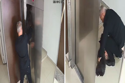 Video impactante: un perro quedó atrapado en un ascensor y fue salvado por un vecino que le hizo RCP