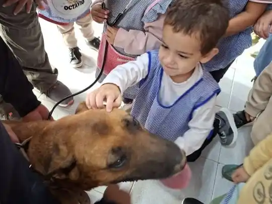 Tenencia. Responsable es lo que se impulsa a través de estas acciones