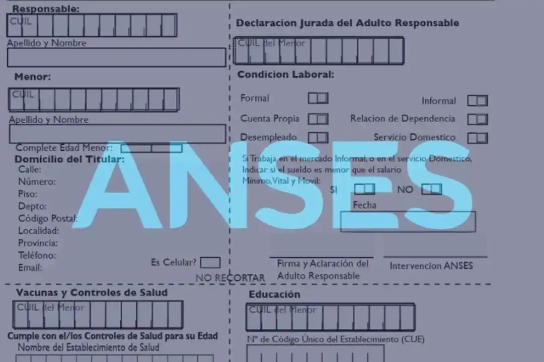 Hasta el 31 de diciembre hay tiempo para completar y entregar la Libreta AUH 202