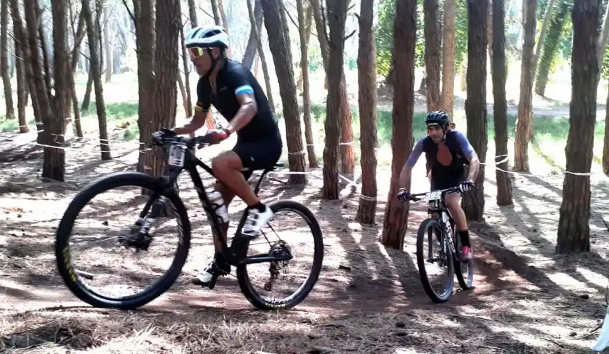 bicis