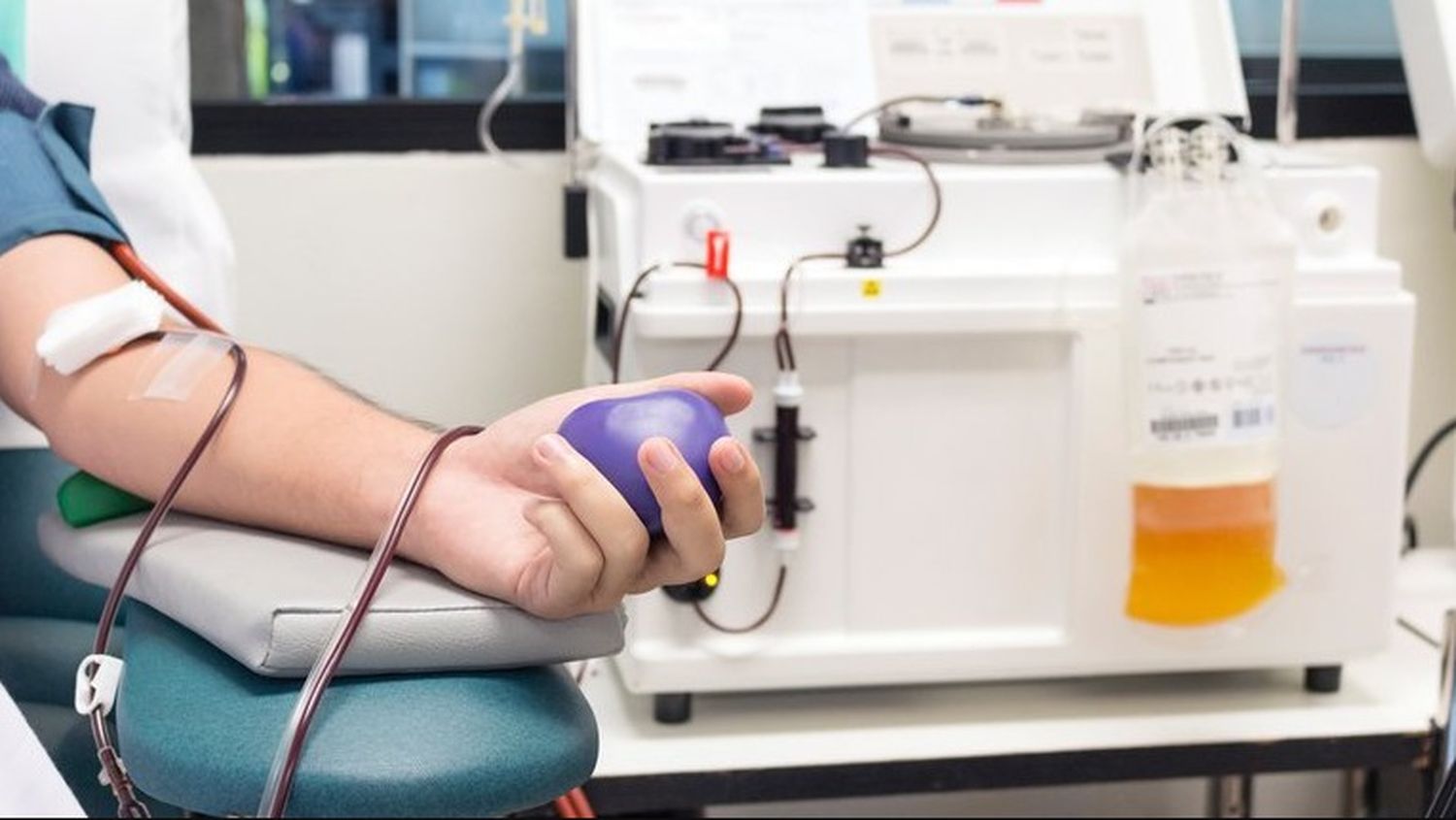 Qué es y cómo funciona el plasma en los tratamientos contra el Covid- 19