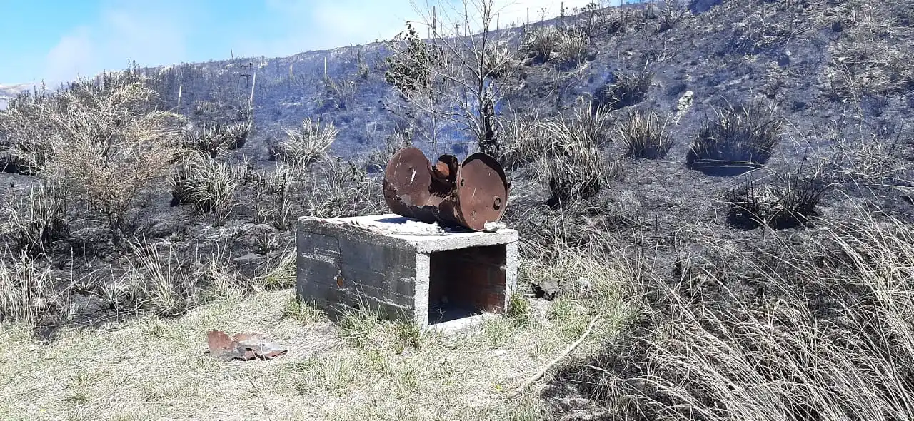 Coronel Dorrego: Estaban haciendo un asado y terminaron quemando 150 hectáreas de trigo