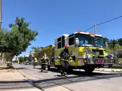¿Como llegó hasta ahi? el insólito rescate de un gato