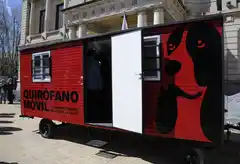 Mañana se realizará una jornada de vacunación contra la rabia