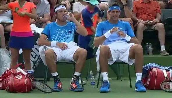 Final de la Copa Davis: Del Potro y Mayer buscarán imponerse en Dobles