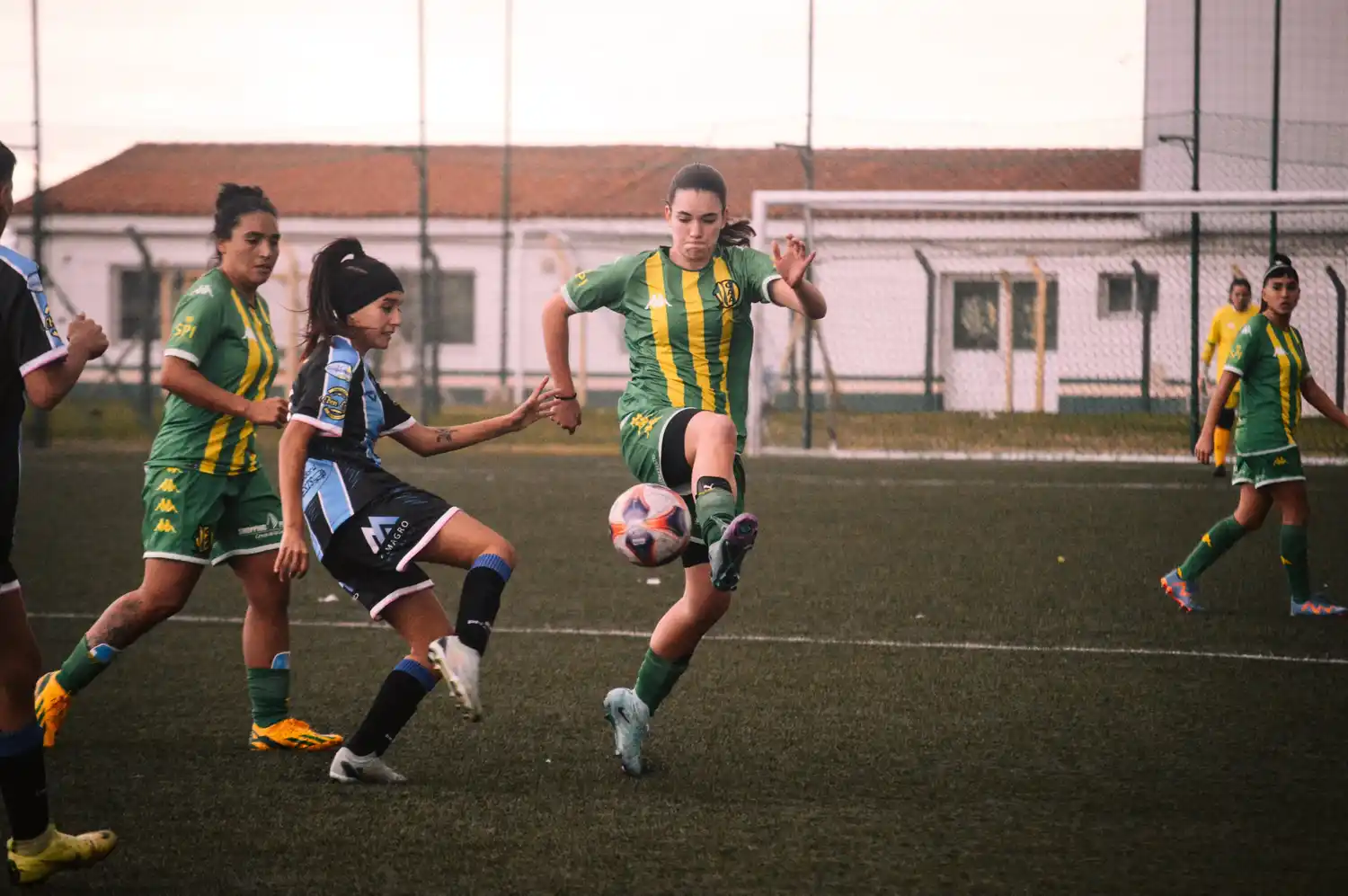 Aldosivi fem