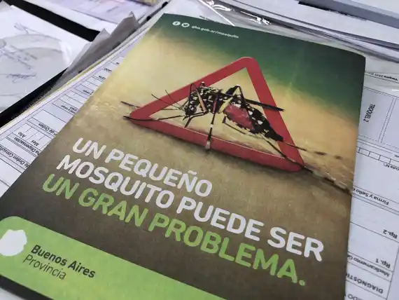 ¿Por qué no es recomendable fumigar para prevenir el dengue?
