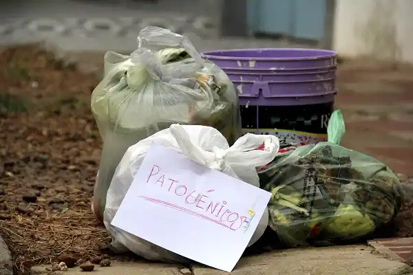 Rige la nueva normativa para residuos peligrosos en la ciudad 