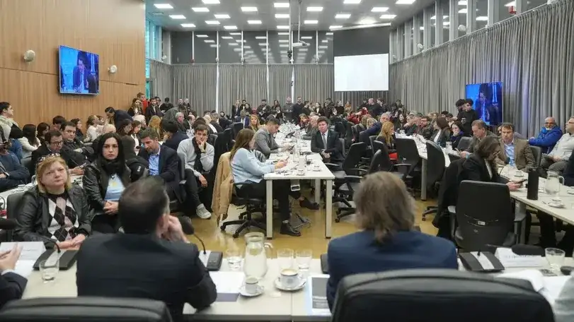 Plenario de comisiones en Diputados.