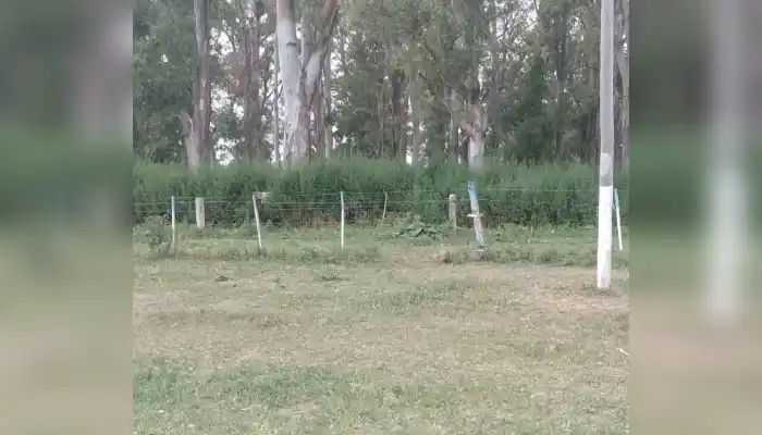 Quejas por el abandono en Río Tala