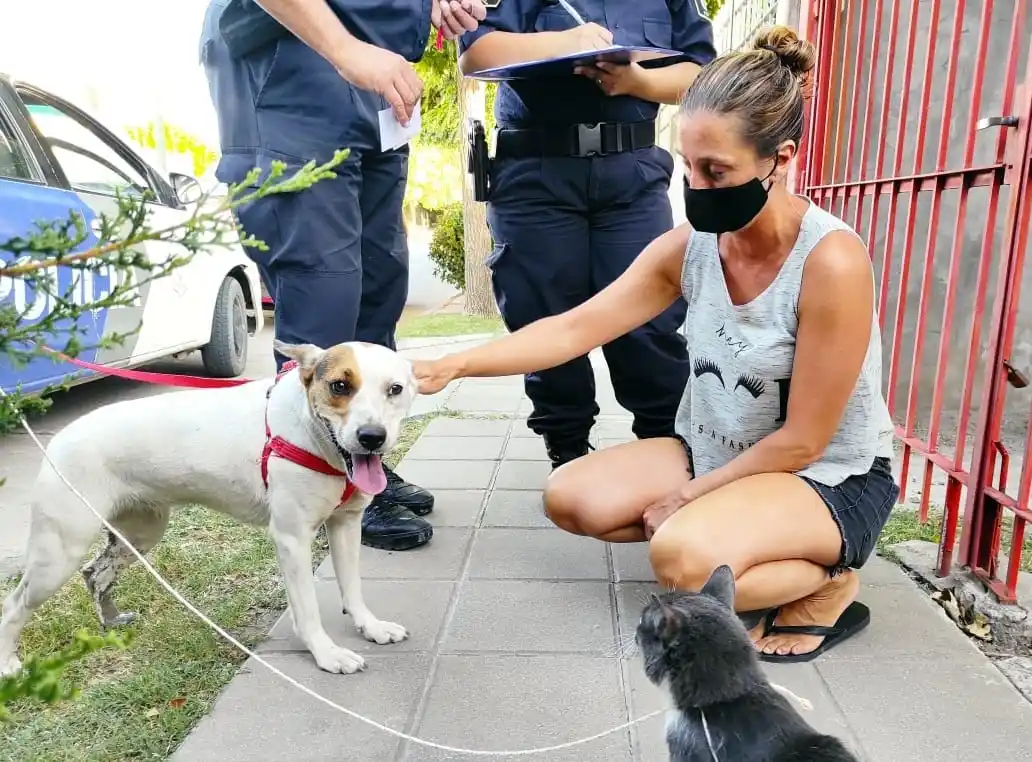 Rescatan a dos perros y un gato encerrados en una casa