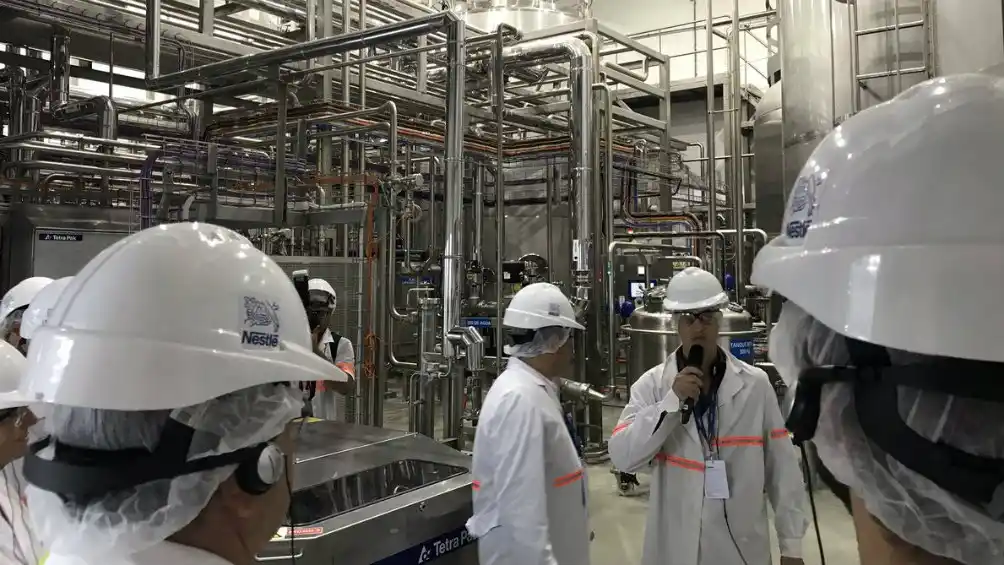 Nestlé volvió a producir chocolate en la Argentina después de 20 años