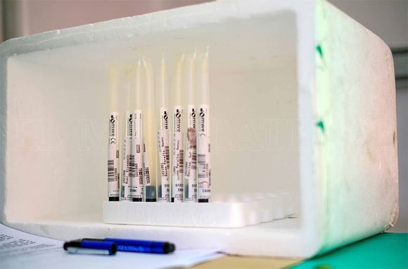 Con 205 nuevos casos, hay 2847 marplatenses con coronavirus