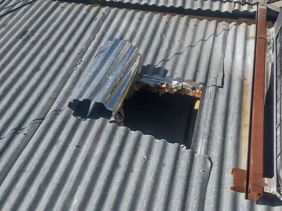 Mediante un boquete, robaron más de 200 kilos de mercadería en una carnicería de Villa Italia