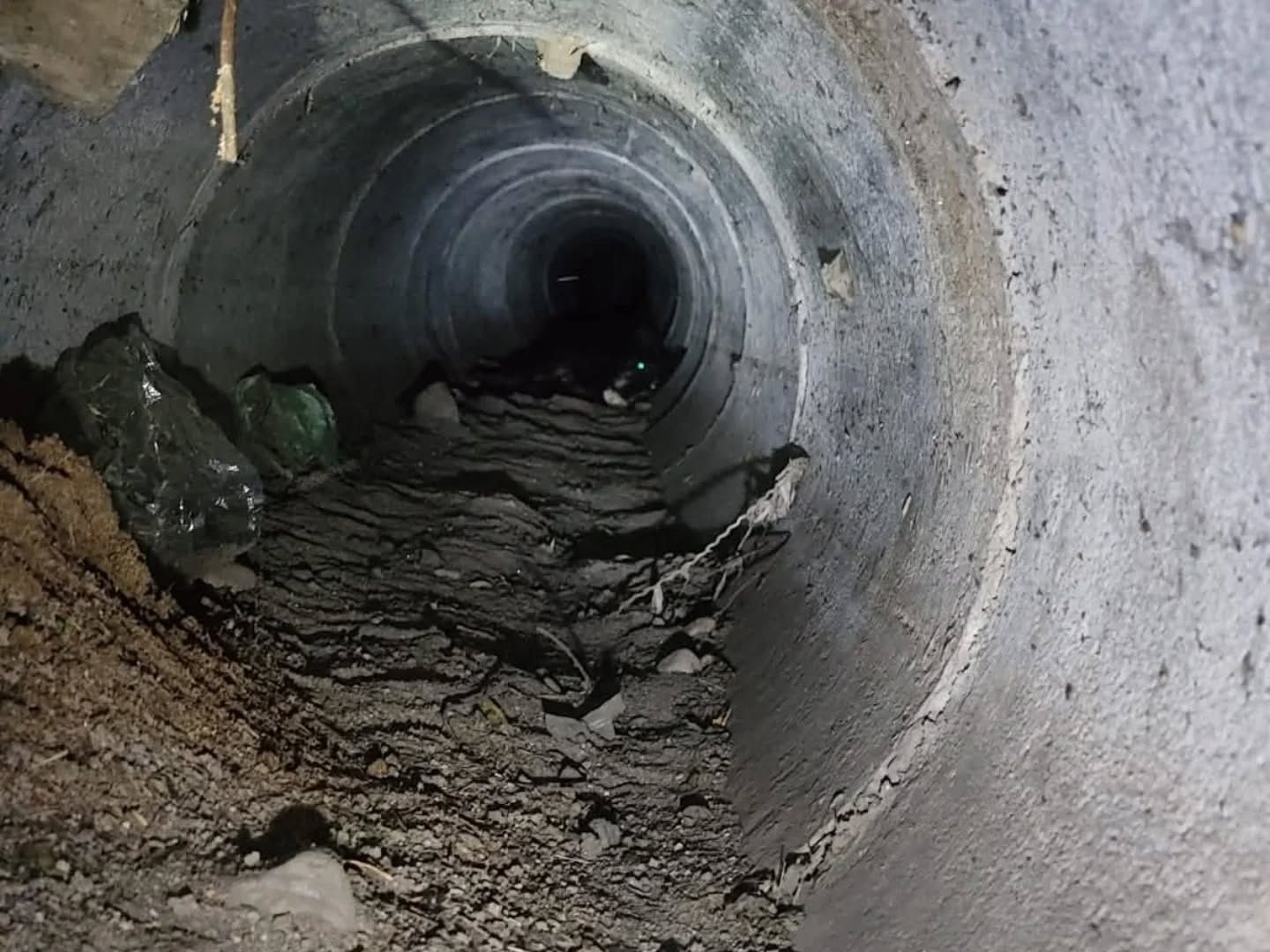 VIDEO | Bomberos de Córdoba salvaron a un perro atrapado a 12 metros en un desagüe