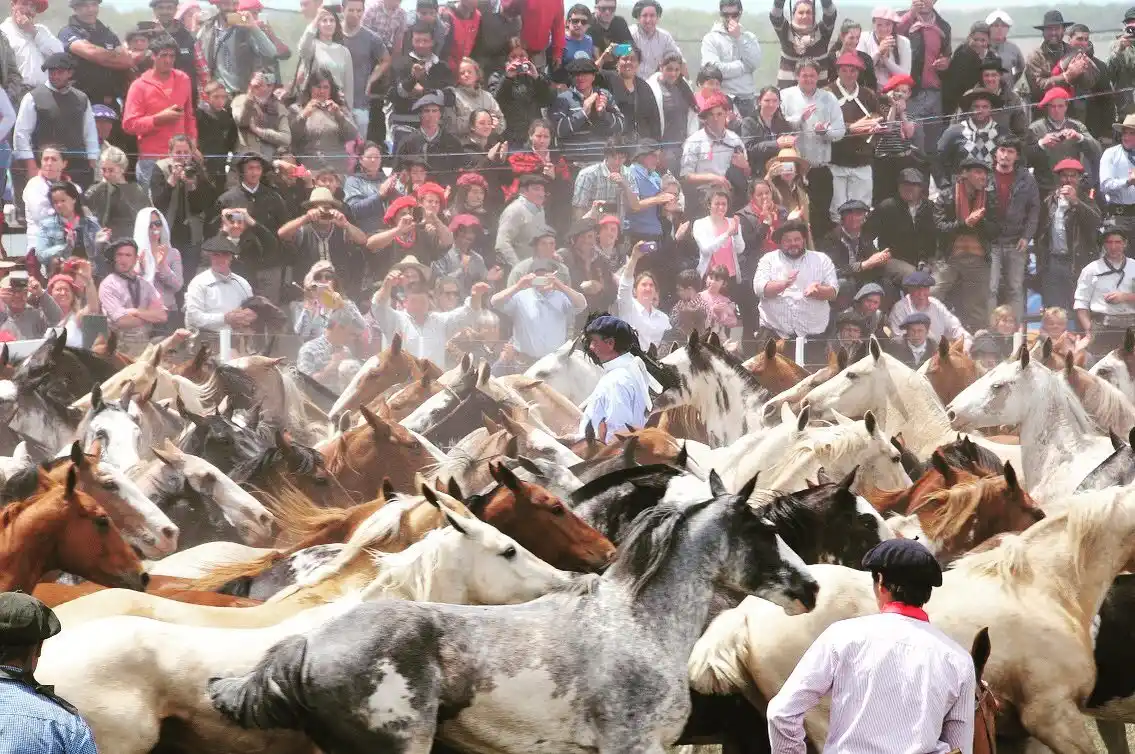 Fiesta del Talar, Madariaga
