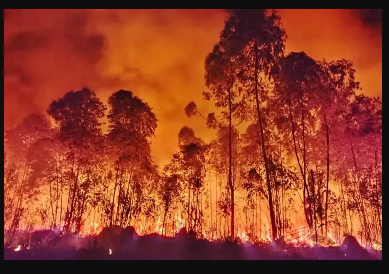 Por los incendios forestales extienden la emergencia ambiental a todo el territorio provincial