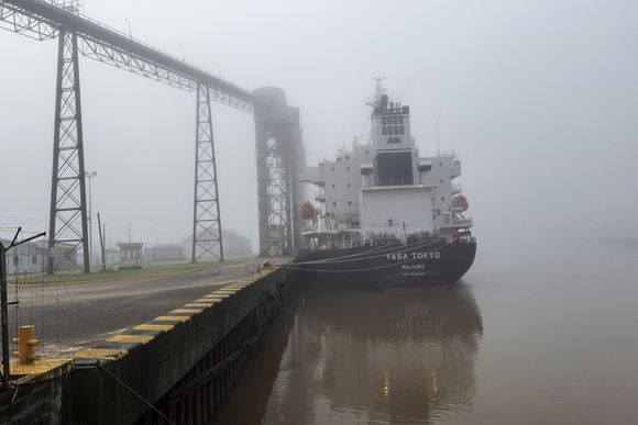 Buque varado: Rivas pide informe sobre el dragado y desconfía de la versión oficial sobre el sedimento por el temporal