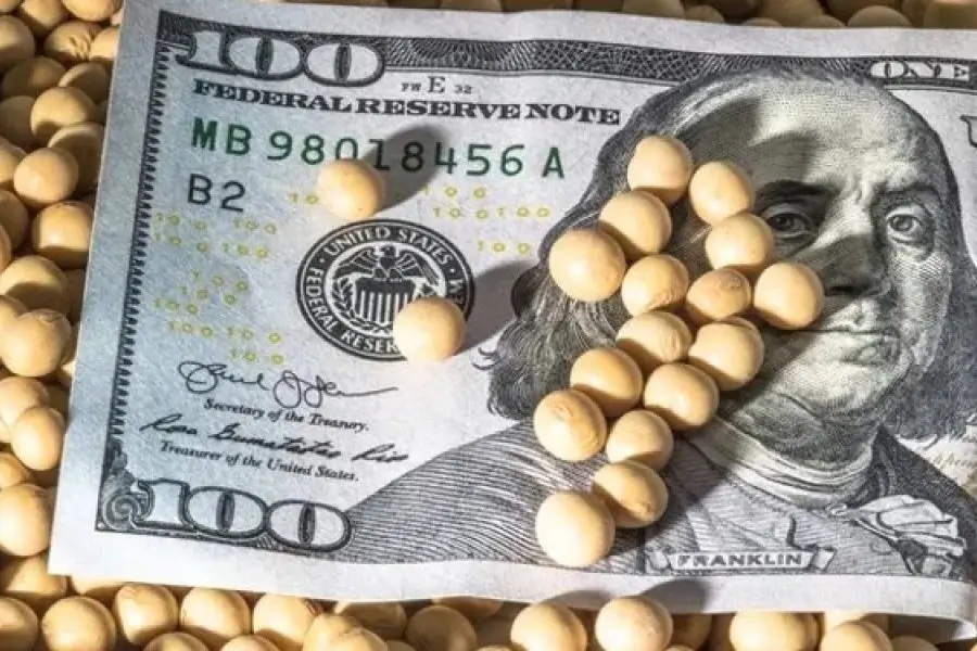 Los primeros tres días del nuevo "dólar soja" se liquidaron un millón de toneladas de la oleaginosa