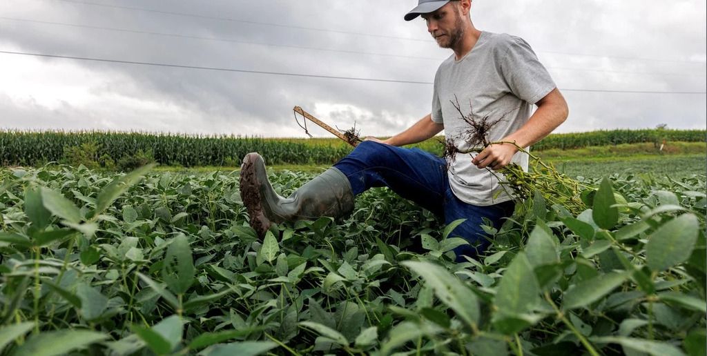 Se advierte que durante siete de los últimos diez años las tasas de financiación en pesos del sector agrícola resultaron negativas en términos reales.