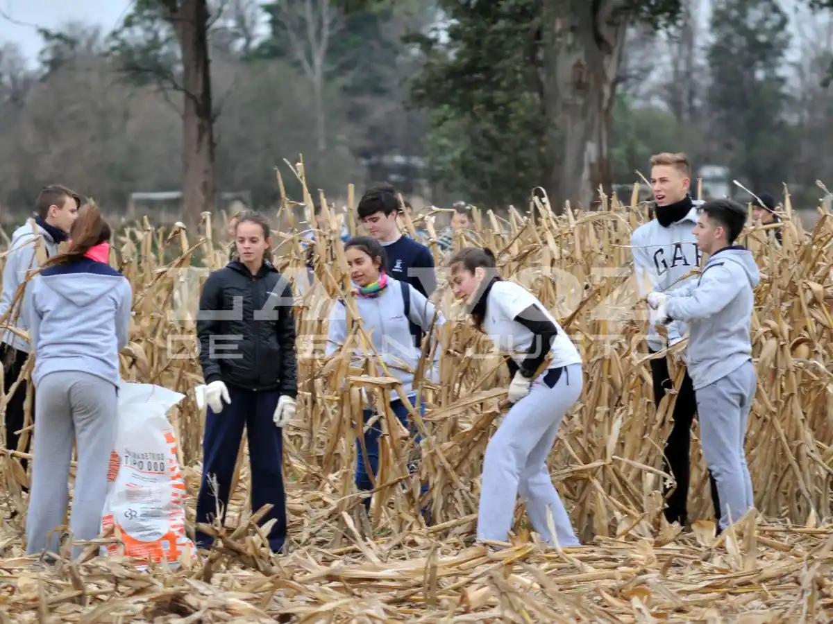 Mañana se realizará otra edición de la chocleada solidaria