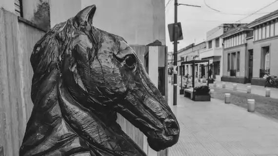 Coronavirus: 8 nuevos casos en Gualeguay y 179 en la Provincia