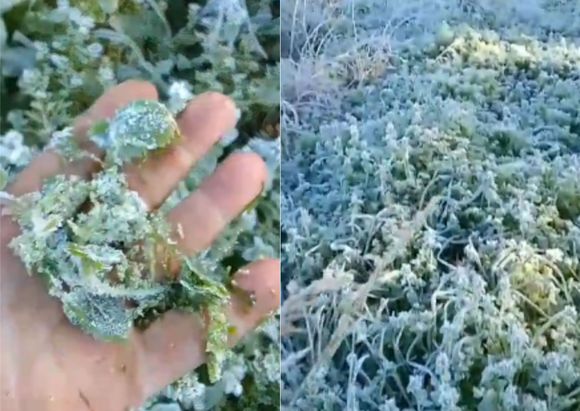 "Invierno del ort*": qué dicen los sampedrinos sobre la ola de frío que atraviesa todo el país